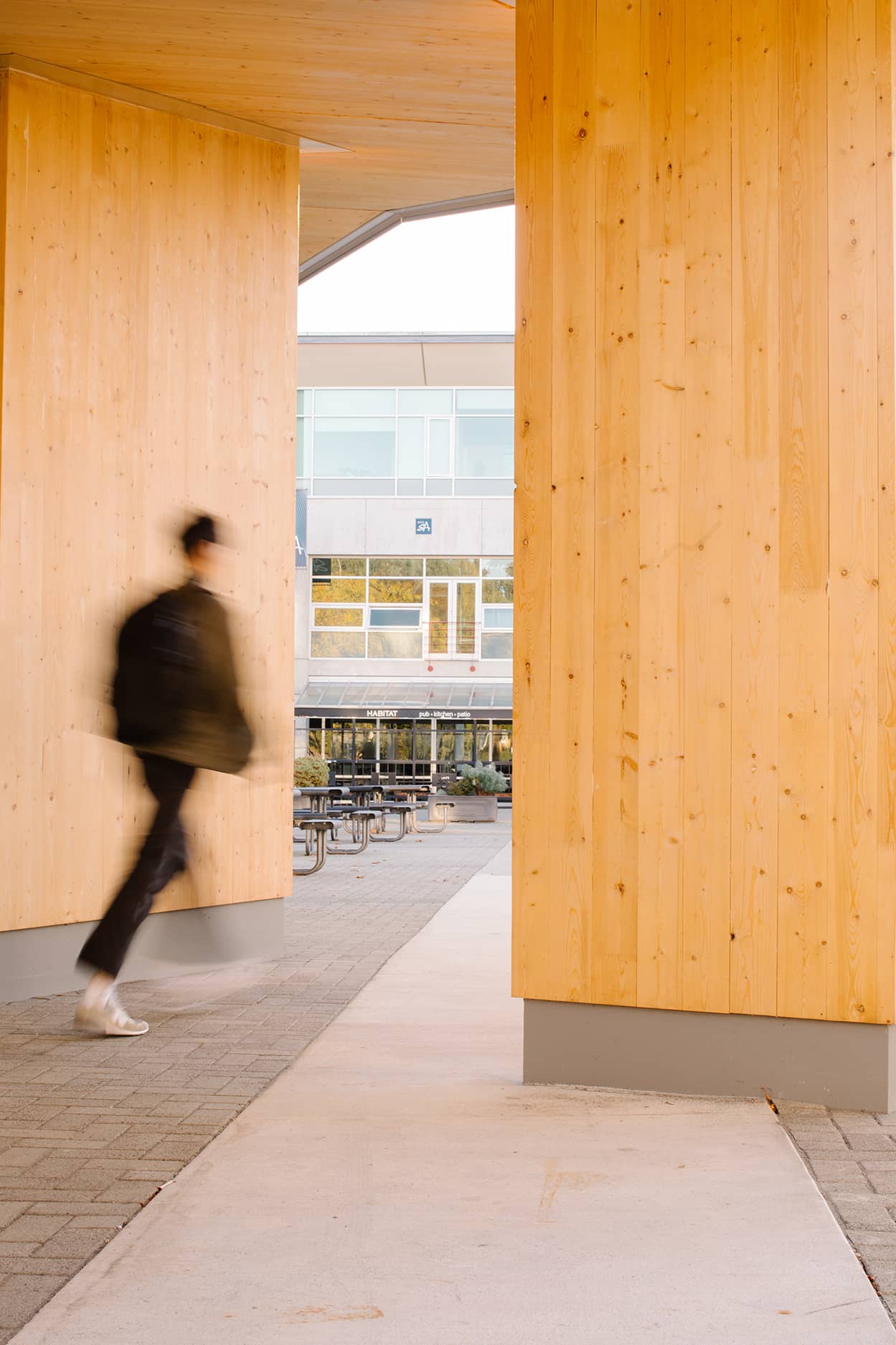 bbp bcit beedie plaza wood panels